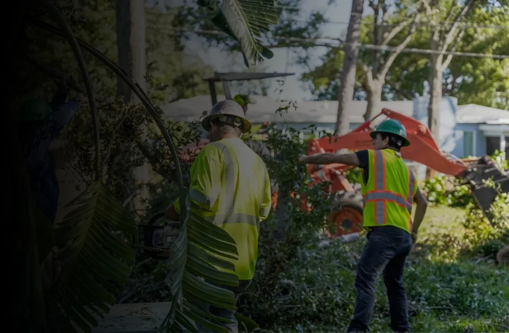 Crew members in safety gear clearing brush and coordinating machinery on a residential site