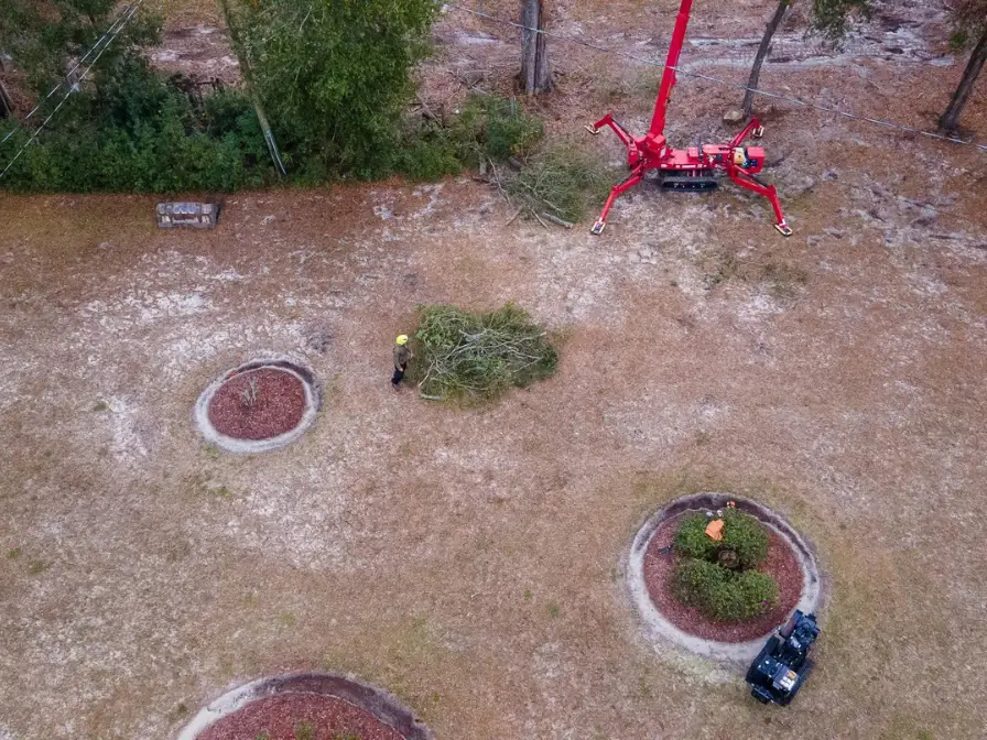 Land Clearing