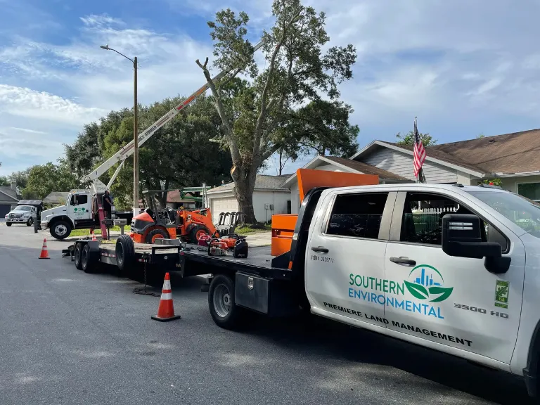 Emergency Tree Removal