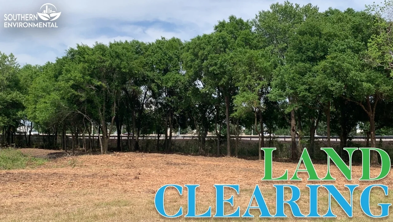 A cleared and mulched commercial lot with a managed treeline, demonstrating professional land clearing by Southern Environmental.