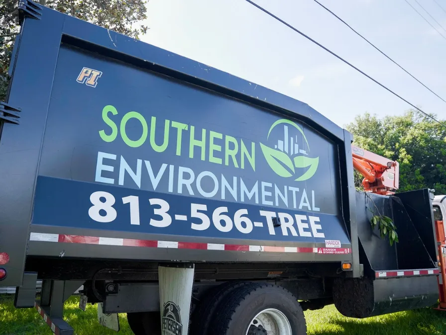 When Is Tree Removal the Right Decision for Your Central Florida Property?